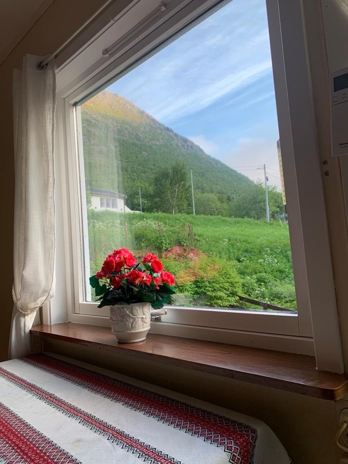 House Lejlighed Gryllefjord Eksteriør billede